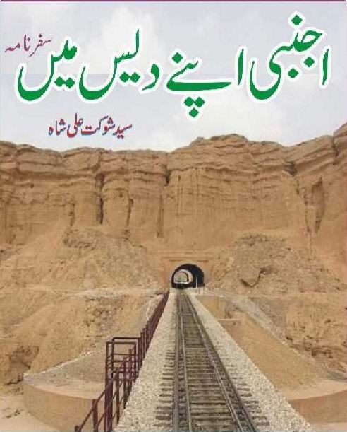 اجنبی اپنے دیس میں
