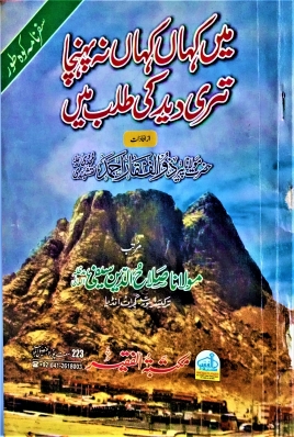 میں کہاں کہاں نہ پہنچا تیری دید کی طلب میں